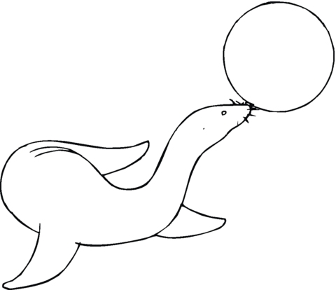 Sea Lion Plays Ball Coloring Page